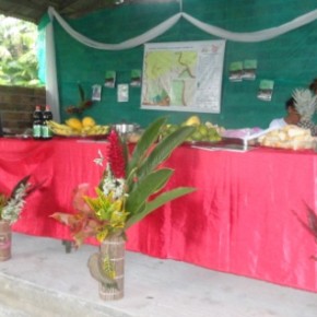 Quilombolas  do rio Mutuacá  se reunem  para o lançamento do Fascículo 14