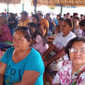 Lançamentos de fascículos e boletins do PNCSA em Roraima