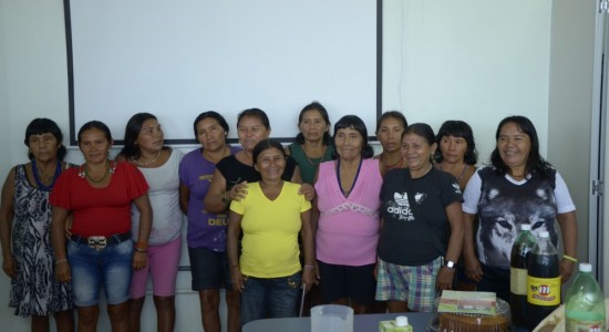 “CAFÉ-DA-MANHÃ REFLEXIVO” DE MULHERES INDÍGENAS COM PESQUISADORES DO PROJETO NOVA CARTOGRAFIA SOCIAL DA AMAZÔNA