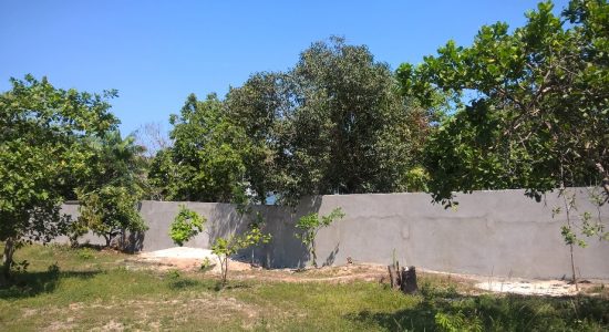 A GARANTIA DOS DIREITOS TERRITORIAIS DA FAMÍLIA KARAPÃNA