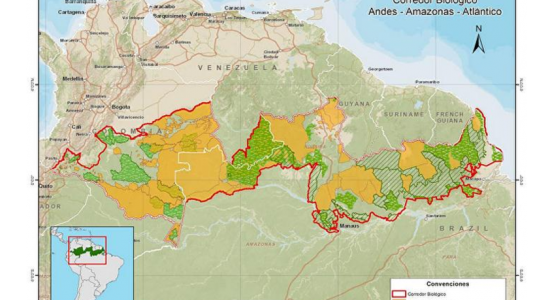 MPF apura notícia de corredor ecológico transnacional pela Amazônia Brasileira