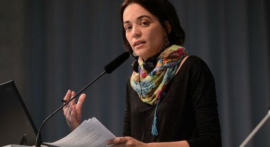 “Está em jogo a reestruturação do mercado formal de terras no Brasil”. Entrevista com Julianna Malerba