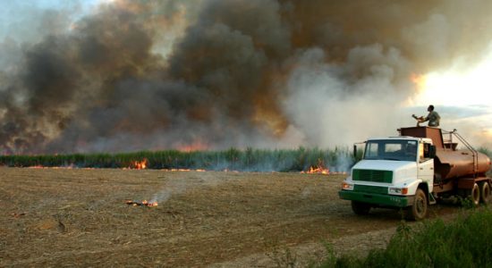 Ameaça da Proposta de Liberação do Plantio de Cana-de-Açúcar na Amazônia