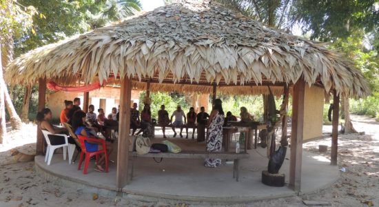 Trabalho de campo na Aldeia Indígena Akrãtikatêjê: revisão de livro, registros sobre a formação de jovens e sobre  Política de formação linguística