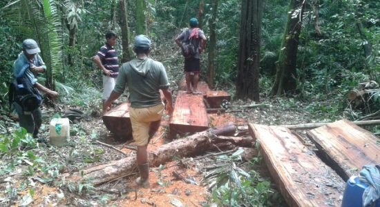 Quilombolas Iniciam a Construção do “Museu Vivo” em Barreirinha