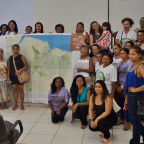 NOVA CARTOGRAFIA SOCIAL DOS BABAÇUAIS: Mapeamento Social da Região Ecológica do Babaçu