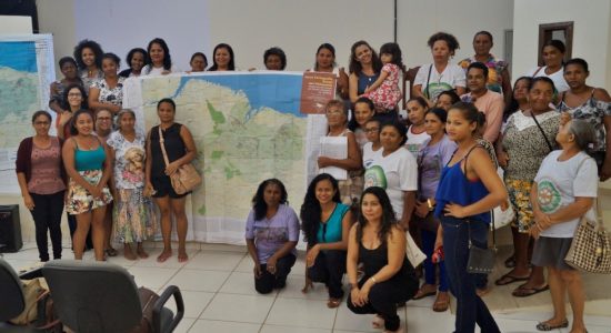 NOVA CARTOGRAFIA SOCIAL DOS BABAÇUAIS: Mapeamento Social da Região Ecológica do Babaçu