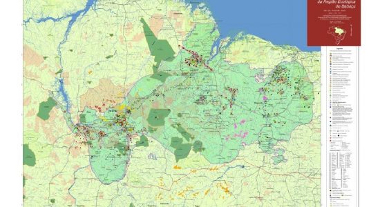 Lançamento do Mapa Nova Cartografia Social dos Babaçuais dia 8 de agosto em Belém - PA