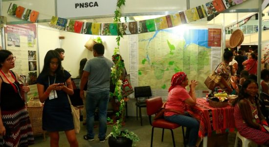 EXPOSIÇÃO DAS PUBLICAÇÕES DO PROJETO NOVA CARTOGRAFIA SOCIAL DA AMAZONIA – PNCSA EM ESTANDE NA FEIRA DA BIODIVERSIDADE DURANTE O BELEM+ 30 ISE . SBEE – 2018 EXPOSIÇÃO DAS PUBLICAÇÕES DO PROJETO NOVA CARTOGRAFIA SOCIAL DA AMAZONIA – PNCSA EM ESTANDE NA FEIRA DA BIODIVERSIDADE DURANTE O BELEM+ 30 ISE . SBEE – 2018