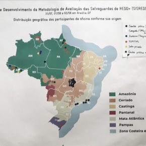 Entre os dias 31 de julho e 02 de agosto de 2018 ocorreu, em Brasília, a 5ª Oficina para desenvolvimento da metodologia de avaliação das salvaguardas de REDD+