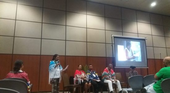 POLÍTICA LINGUÍSTICA DO POVO AROWAKA EM DEBATE EM SESSÃO ORGANIZADA DURANTE O BELÉM + 30 ISE.SBEE-2018