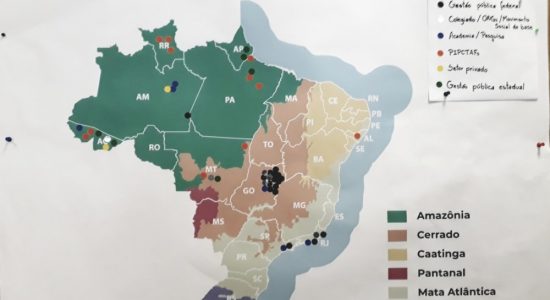 Entre os dias 31 de julho e 02 de agosto de 2018 ocorreu, em Brasília, a 5ª Oficina para desenvolvimento da metodologia de avaliação das salvaguardas de REDD+