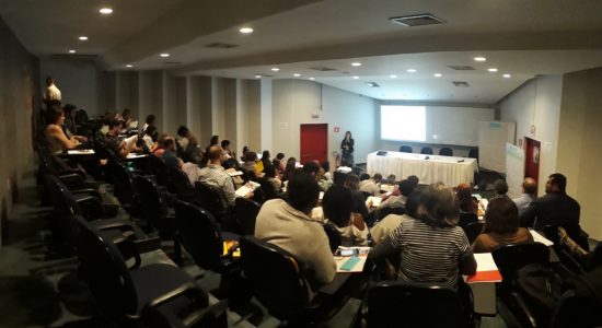 SEMINÁRIO NACIONAL- Indicadores do Cumprimento das Salvaguardas de REDD+