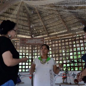 VISITA DA PROFESSORA ANA PIZARRO DA UNIVERSIDADE DE SANTIAGO DO CHILE AOS CENTROS DE CIÊNCIAS E SABERES NA CIDADE DE MANAUS - AMAZONAS