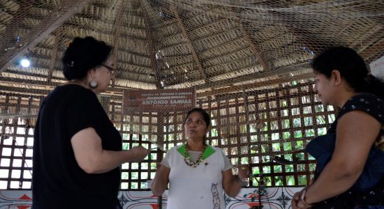 VISITA DA PROFESSORA ANA PIZARRO DA UNIVERSIDADE DE SANTIAGO DO CHILE AOS CENTROS DE CIÊNCIAS E SABERES NA CIDADE DE MANAUS - AMAZONAS VISITA DA PROFESSORA ANA PIZARRO DA UNIVERSIDADE DE SANTIAGO DO CHILE AOS CENTROS DE CIÊNCIAS E SABERES NA CIDADE DE MANAUS - AMAZONAS