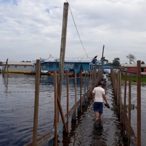 Encontro das águas e a cerca de arame farpado: no encontro do Purus e o Ituxi