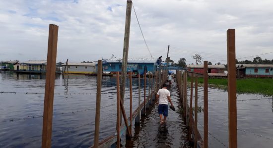 Encontro das águas e a cerca de arame farpado: no encontro do Purus e o Ituxi Encontro das águas e a cerca de arame farpado: no encontro do Purus e o Ituxi