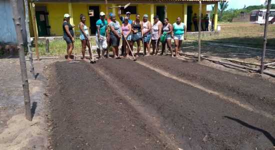 ABERTURA DE UMA HORTA NO CENTRO DE CIÊNCIA E SABERES   NO QUILOMBO PAU FURADO, SALVATERRA - MARAJÓ