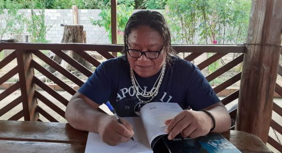 Há várias memórias: um vírus, uma história, muitas trajetórias