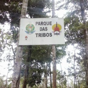 Cacique Messias Kokama, “o espírito do guerreiro”: estratégias, resistência e a construção do reconhecimento do Parque das Tribos