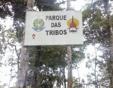 Cacique Messias Kokama, “o espírito do guerreiro”: estratégias, resistência e a construção do reconhecimento do Parque das Tribos