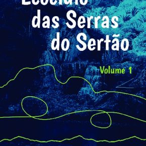 Livro digital Ecocídio das Serras do Sertão Volume 1 disponível para download em Coleções Nova Cartografia Social