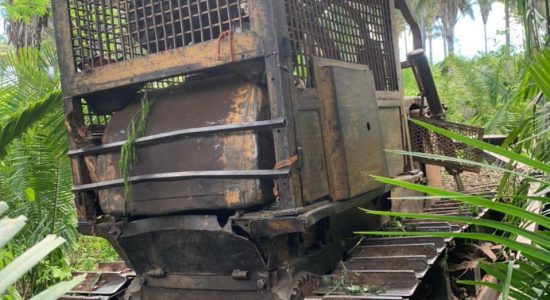 Tratores e correntões destroem o cerrado preservado pela Comunidade Quilombola Peixes, em Colinas, Maranhão