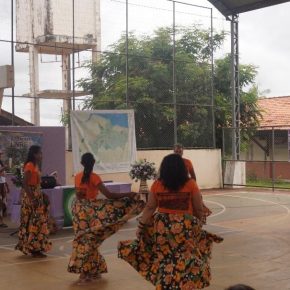 Mulheres Quebradeira de Coco Babaçu do sudeste do Pará, discutem sobre a Lei do Babaçu Livre, sustentabilidade e direitos em tempos de pandemia