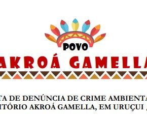 CARTA DE DENÚNCIA DE CRIME AMBIENTAL NO  TERRITÓRIO AKROÁ GAMELLA, EM URUÇUI / PIAUÍ