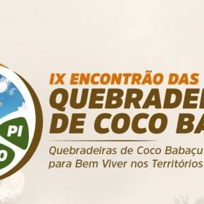 IX Encontrão das Quebradeiras de Coco Babaçu