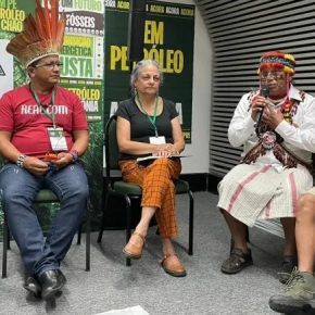 Cúpula: Povos indígenas assinam documento a presidentes e pedem para que salvem a Amazônia